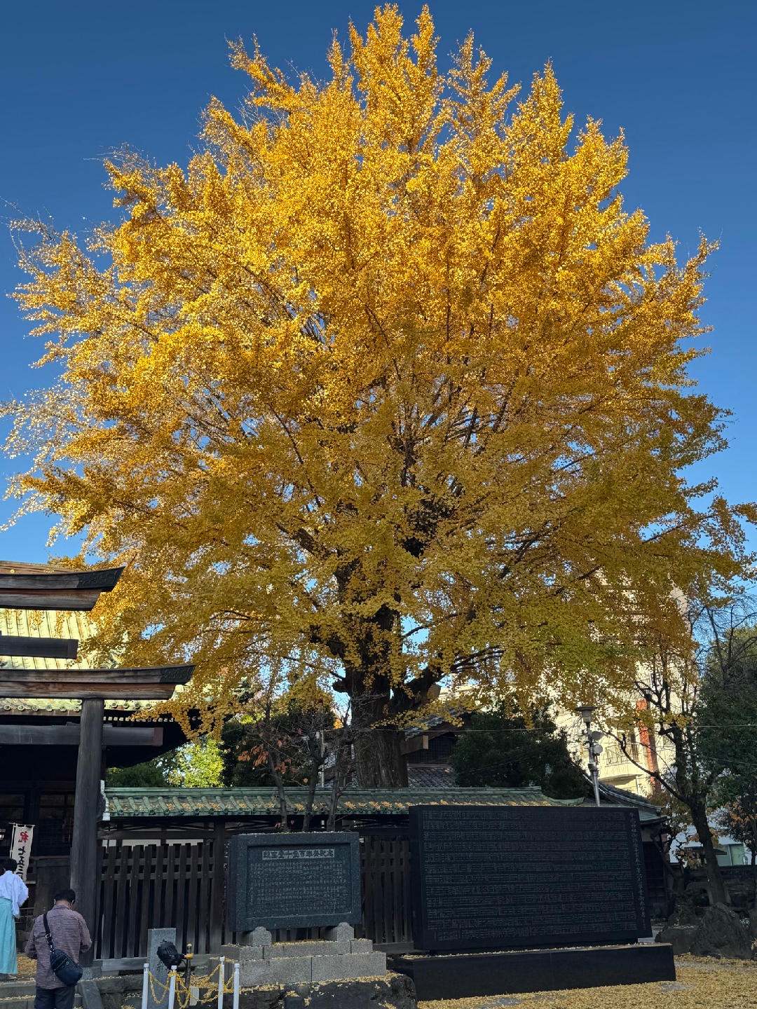 Sumida River Walk & Sacred Sites Route - 2