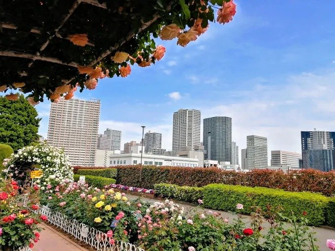 Minato City Shibaura Chuo Park - View 1