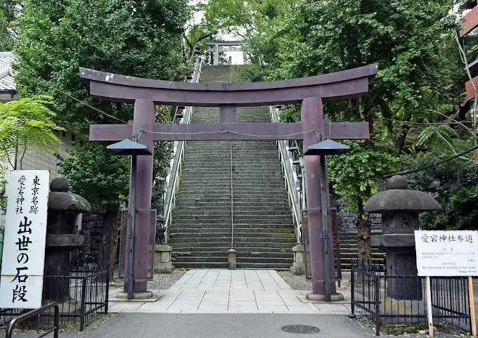 The Stone Steps to Success