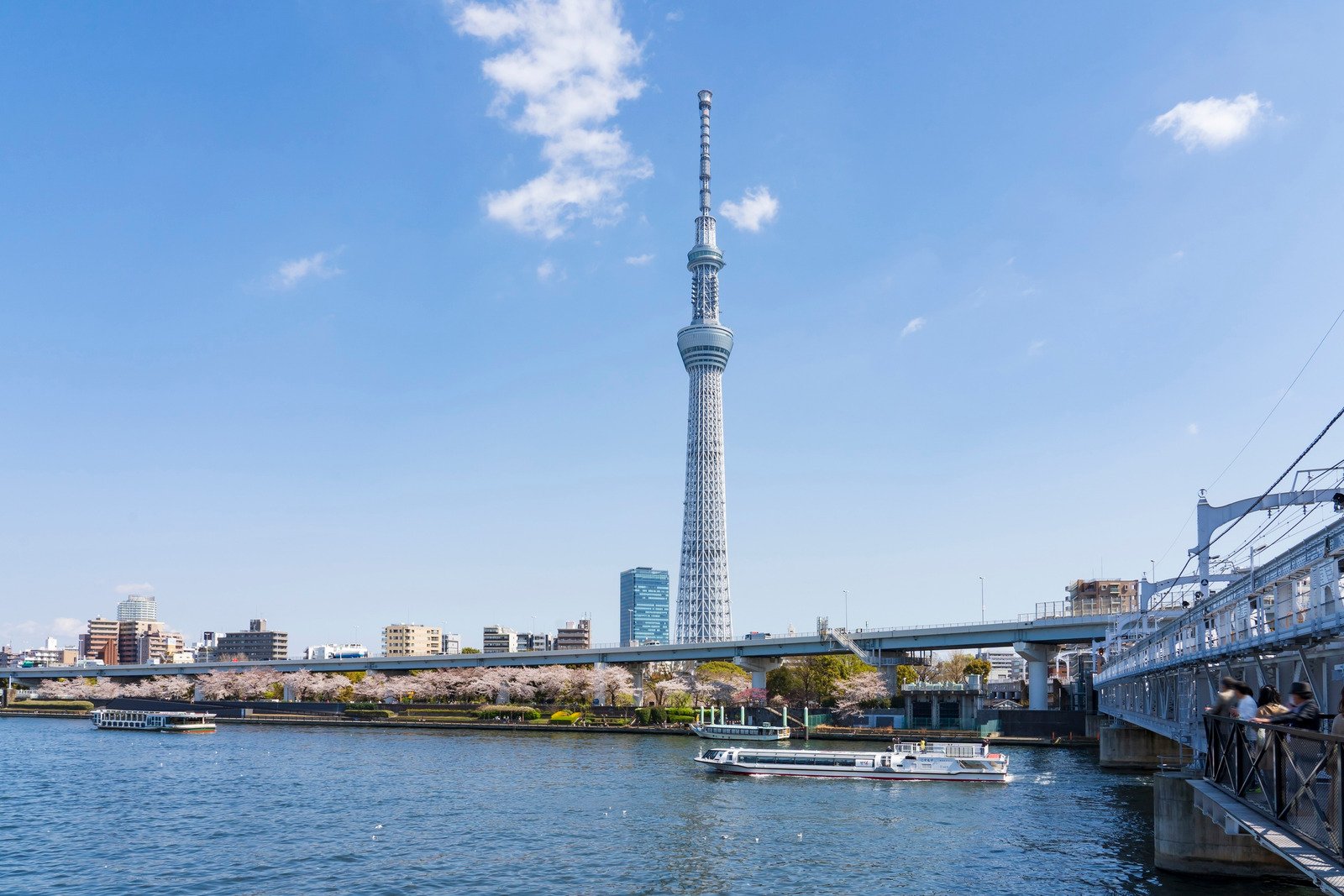 A Riverside Walk Through Tokyo’s History and Modern Culture (ID: 157a0e73-49d2-4058-ba7d-5da62ee70a3c)